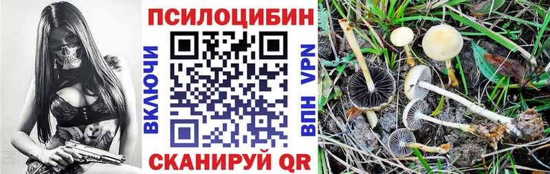 Псилоцибиновые грибы Cubensis Петровск