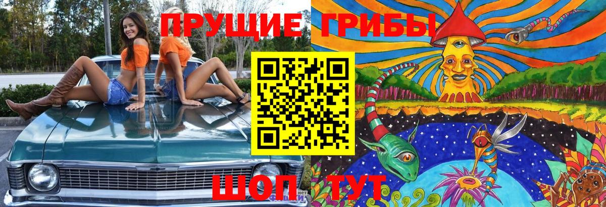 Галлюциногенные грибы прущие грибы Петровск