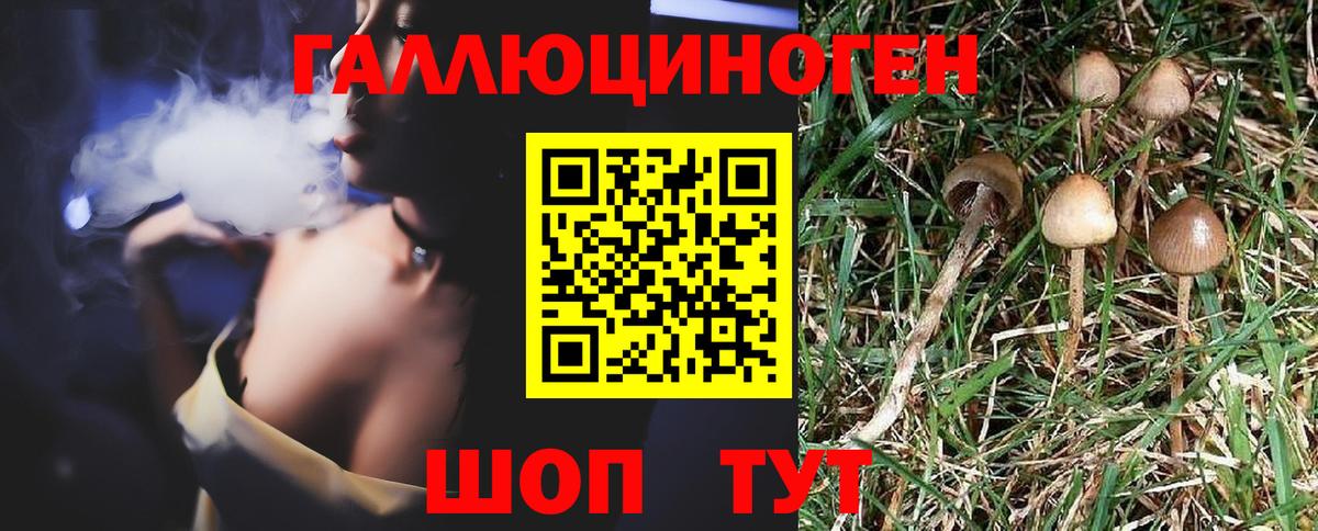 Галлюциногенные грибы GOLDEN TEACHER  Вход с VPN  Галлюциногенные грибы Magic Shrooms  Петровск 